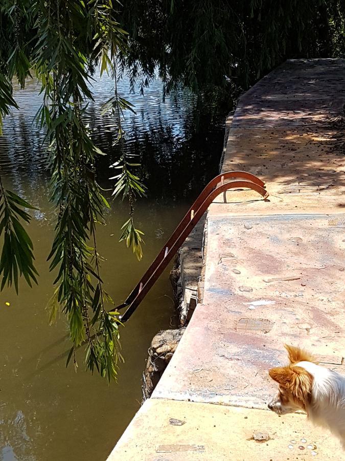Thandamanzi Self Catering Sabie Exterior foto